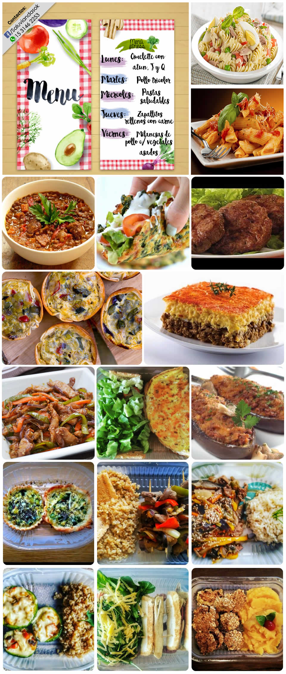 SaluViandas, comidas delivery